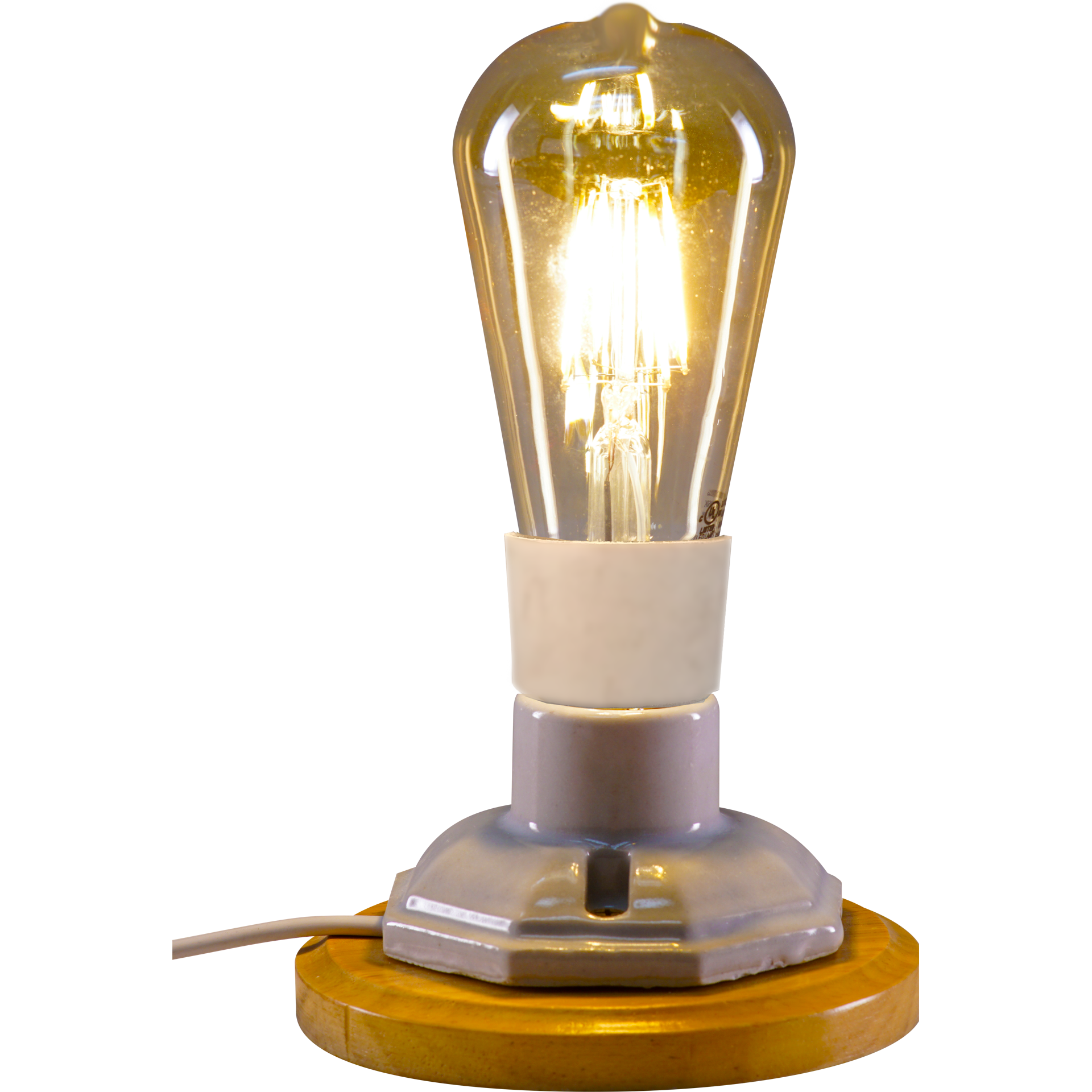 IllumiSci-ST21-Edison-Bulb-Fixture-2-ON_trans_1920x1920_trans_1920x1920