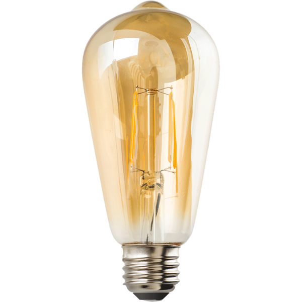 IllumiSci ST21 Edison LED Filament Light Bulb