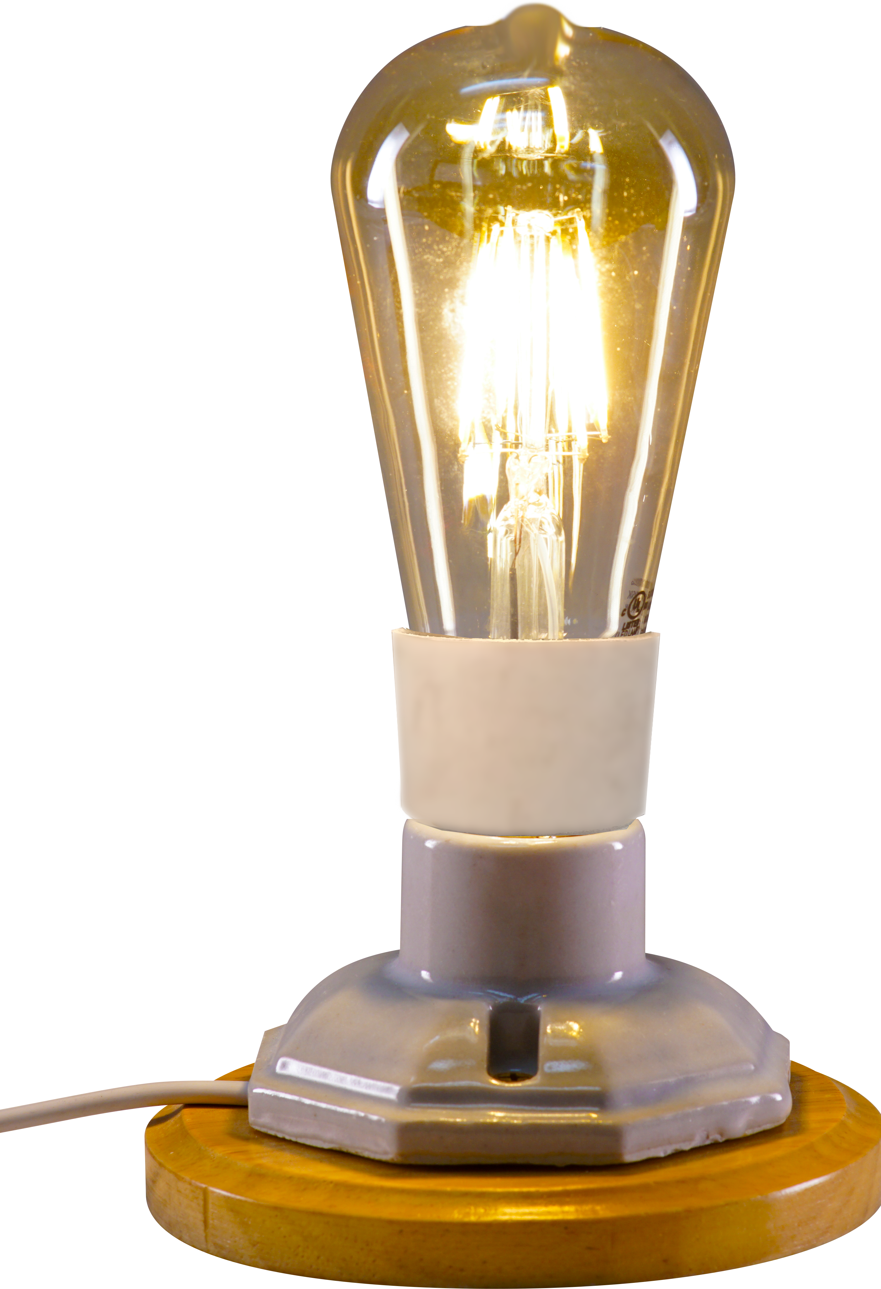 5 - IllumiSci ST21 Edison Bulb Fixture 2 ON (2)